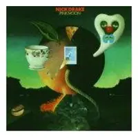 Universal Music Pink Moon