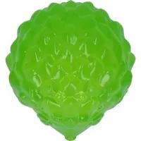 Jw Hedgehog Squeaky Ball