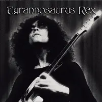 Bertus Distributie A Crown of Dark Swansdown