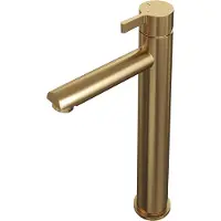 Brauer Gold Edition verhoogde opbouw wastafelmengkraan model E goud geborsteld PVD