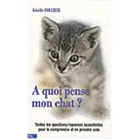 City A quoi pense mon chat ?