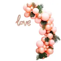 PartyPro Ballonnenboog (Pink Rosé)