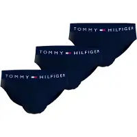Tommy Hilfiger Underwear Slip marine / rood / wit