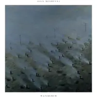 Import Wanderer (180g Lp+Mp3)