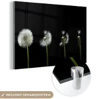 MuchoWow Glasschilderij 120x80 cm - Schilderij acrylglas - Paardenbloem - Planten - Bloemen - Donker - Stilleven - Foto op glas - Muurdecoratie woonkamer - Wanddecoratie slaapkamer - Schilderijen