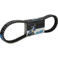 Polini 248.037.2 Transmissie Riem