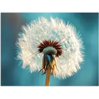 PosterMonkey Poster 120x90 cm - Paardenbloem - Natuur - Bloemen - Blauw - Posters - Kamer decoratie - Wanddecoratie woonkamer - Muurdecoratie slaapkamer