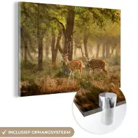MuchoWow Glasschilderij 180x120 cm - Schilderij acrylglas - Herten - Bos - Herfst - Bosdieren - Natuur - Hert - Foto op glas - Muurdecoratie woonkamer - Wanddecoratie slaapkamer - Schilderijen