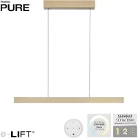Paul Neuhaus Design Hanglamp Pure E Motion Messing