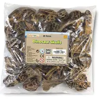 Safari Ltd Dinosaur Skulls Figure 48 Pieces Bruin From 3 Years