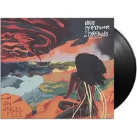 STRU Idris & the Pyramids Ackamoor - An Angel Fell (2 LPs)