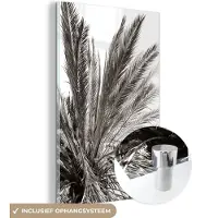 MuchoWow Glasschilderij 120x180 cm - Schilderij acrylglas - Palmboom - Tropisch - Zwart - Wit - Foto op glas - Muurdecoratie woonkamer - Wanddecoratie slaapkamer - Schilderijen