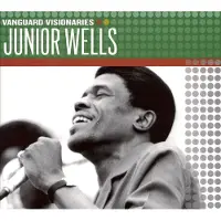 Bertus Distributie Junior Wells - Vanguard Visionaires