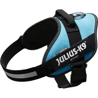 Julius-K9 IDCPowertuig, XL - maat 2, azuurblauw