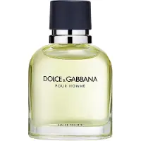 Dolce&Gabbana Pour Homme EDT 75 ml