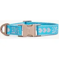 DOGGUO Collar Blauw&Zilver - Hondenhalsband - Kleinste Honden