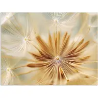 PosterMonkey Poster 160x120 cm - Paardenbloem - Beige - Abstract - Modern - Natuur - Posters - Kamer decoratie - Wanddecoratie woonkamer - Muurdecoratie slaapkamer XXL