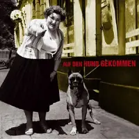 Import Auf den hund gekommen