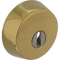 Intersteel | Veiligheidsrozet voor oplegsloten met kerntrekbeveiliging | SKG3 | Messing PVD