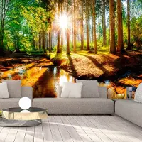 Karo-art 196cm X 140cm - Zelfklevend fotobehang - Geweldig bos , Premium Print