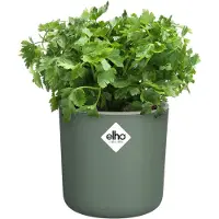 Elho Happy Herbs 14 cm - Leaf Green - D 15 x H 17 cm