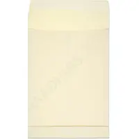 Raadhuis monsterzak C4 - 229x324x38mm - crème - met plakstrip - 10 stuks - RD-309582-10