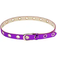 Yehwang Metallic Riem - Paars - 80 cm lang - 2.8 cm breed - Gouden ringen -
