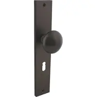 Intersteel knopschild rechthoekig 245x45mm vaste knop en wisselstift sleutelgat 56mm - antraciet