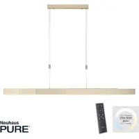 Paul Neuhaus Led hanglamp Pure-Moto messing mat