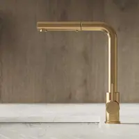 Hotbath Keukenmengkraan Fellow Draaibaar Uittrekbare Uitloop 32.4 cm Geborsteld Messing PVD