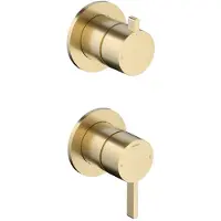 Hotbath Ace AC129EXT afbouwdeel inbouw mengkraan met 2-weg stop-omstel geborsteld messing PVD