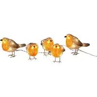 Konstsmide Lichtsnoer LED 5 vogels herfstkleuren