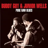 Import Pure raw blues - 2 LP