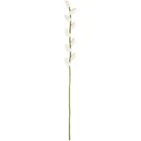 Sjaal met Verhaal Katjestak Vilt - 50cm