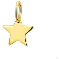 The Jewelry Collection Geelgouden Hanger ster 4019321
