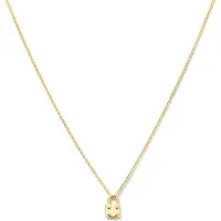 The Jewelry Collection Zilver Verguld Collier slot 1 2101741