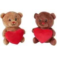Van Manen Veenendaal Pluche knuffelbeer met hart - zachte teddybeer 15cm multi kleuren.