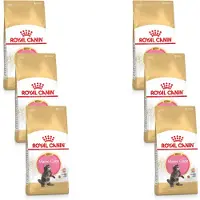 Royal Canin 6x Kattenvoer Droog Maine Coon Kitten 2 kg