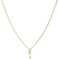 The Jewelry Collection Zilver Verguld Collier sleutel 1 2101740