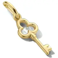The Jewelry Collection Hanger Sleutel