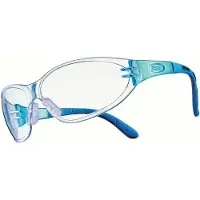 MSA The Safety Company MSA Perspecta 9000 Veiligheidsbril met TuffStuff-Coating