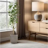 Maxifleur Kunstplanten Ficus Exotica Kunstplant NT 150cm