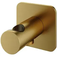 Hotbath Gal GL515 wandhouder met uitlaat geborsteld messing PVD