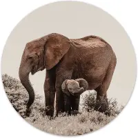 Label2X Muurcirkel baby olifant