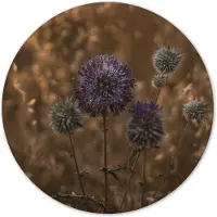 Label2X Muurcirkel purple peace