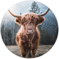 Label2X Muurcirkel Schotse hooglander - dichtbij