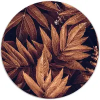 Label2X Muurcirkel brown plant