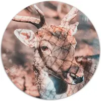 Label2X Muurcirkel deer bright
