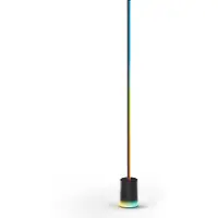 Govee Floor Lamp 2