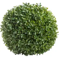 Nova Nature princeville bal 28cm (6 maanden UV-beschermd)